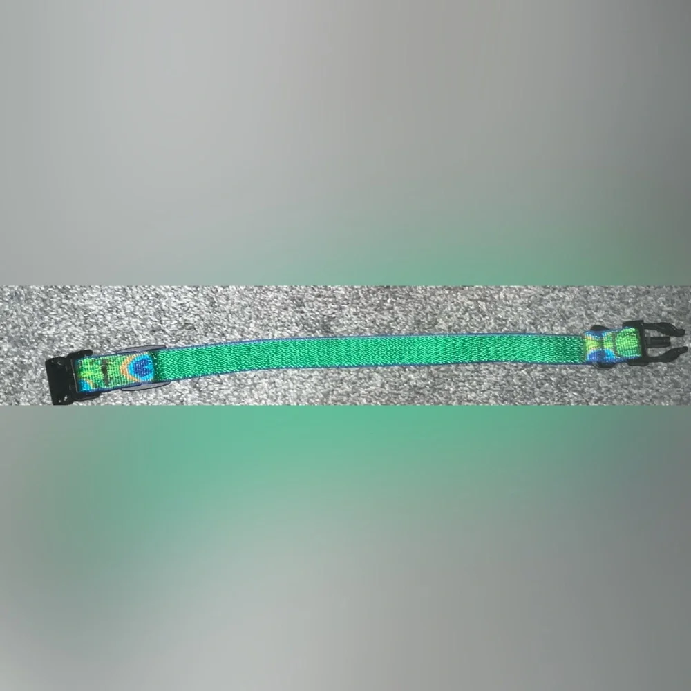 🎉HOST PICK 🎉 *BRAND NEW/ NEVER USED* Green & Blue Peacock Dogs Collar